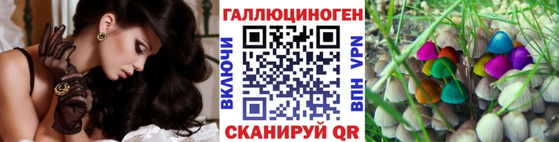 Псилоцибиновые грибы прущие грибы  Николаевск 